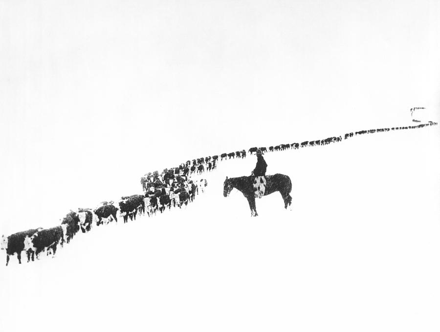 1920s Photograph - The Long Long Line by Underwood Archives  Charles Belden