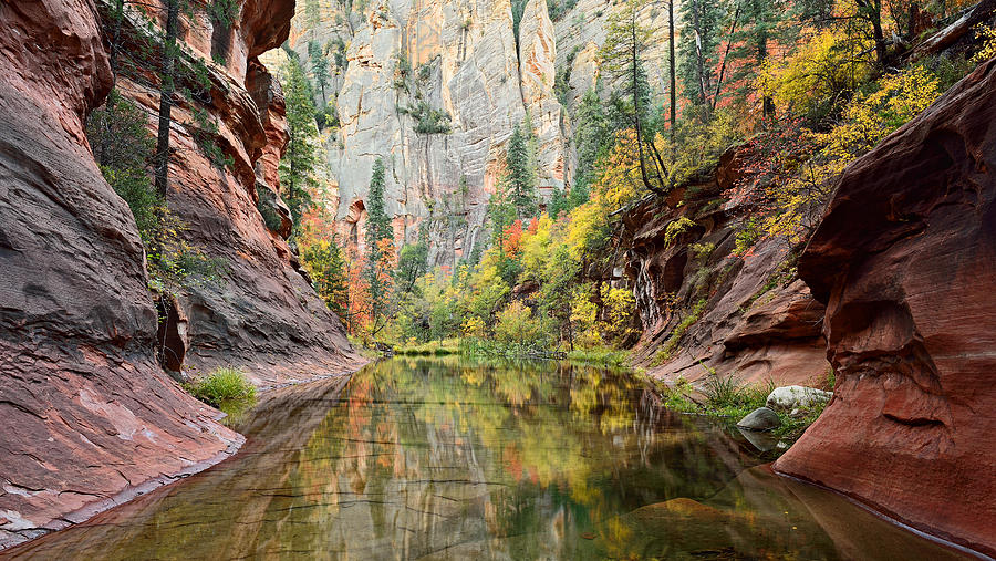 The Long Pool Photograph by Doug Koepsel - Fine Art America