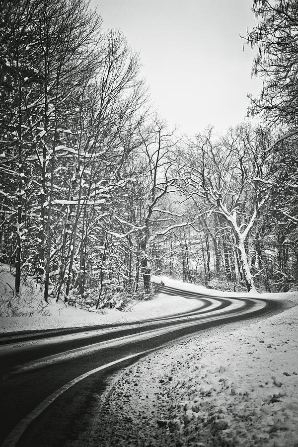 The Long Road of Winter Photograph by Sara Frank