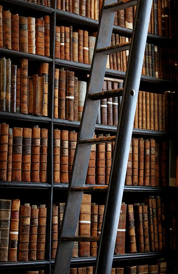 The Long Room Trinity College Dublin Ireland Photograph by Barbara J ...