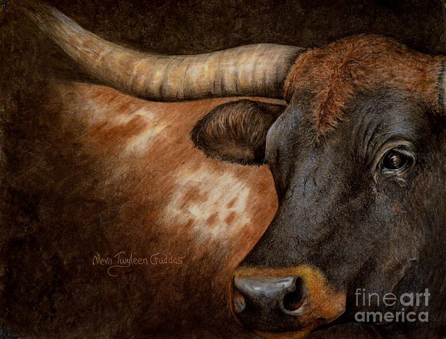 The Longhorn Drawing by Neva Cruddas