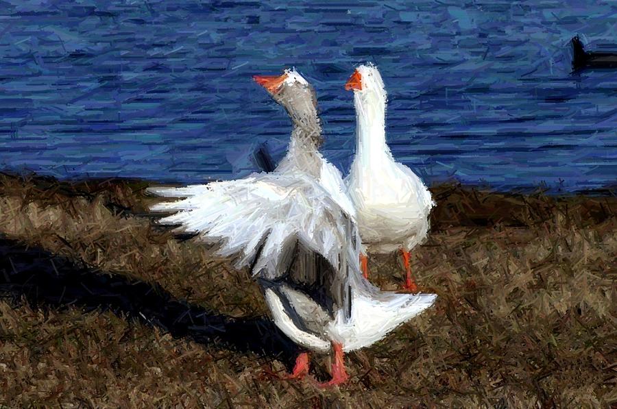 The Loose Dancing Goose Photograph by Thia Stover - Fine Art America