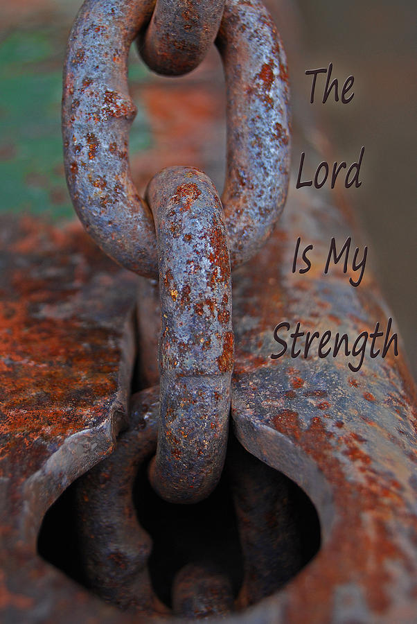 The Lord Is My Strength Photograph by Jani Freimann