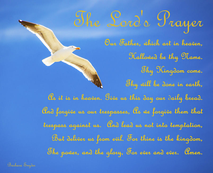 The Lords Prayer Seagull Photograph