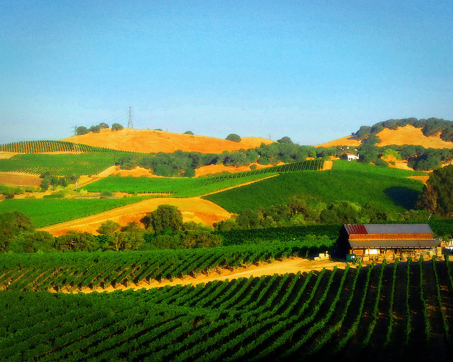 The Los Carneros District Photograph by Timothy Bulone