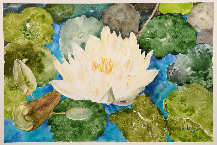 The Lotus- India Collection5 Painting By Manju Srivatsa - Fine Art America