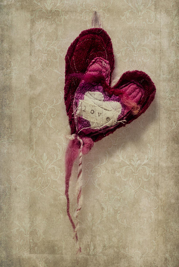 The Love Heart Photograph by Wayne Meyer