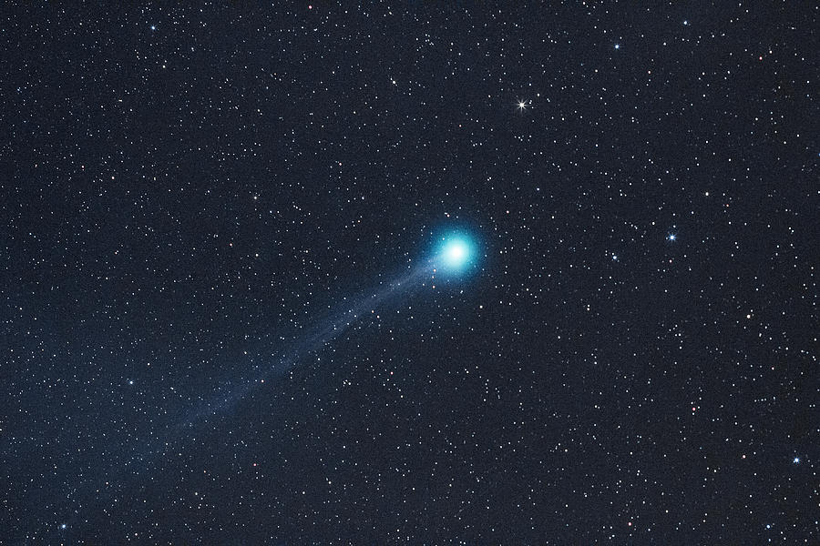 The Lovejoy Comet 2015 Photograph by Dennis Bucklin