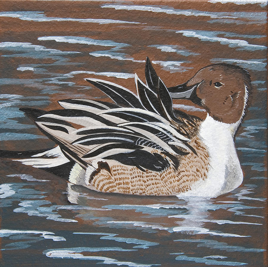 The Lovely Pintail Painting by Jennifer Lake