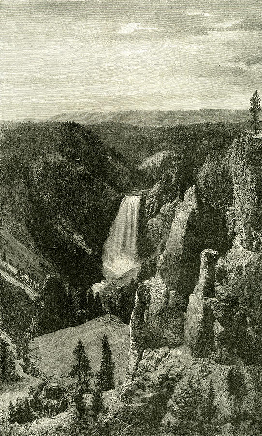 Vintage Drawing - The Lower Falls And The Canon Of The Yellowstone From Point by English School