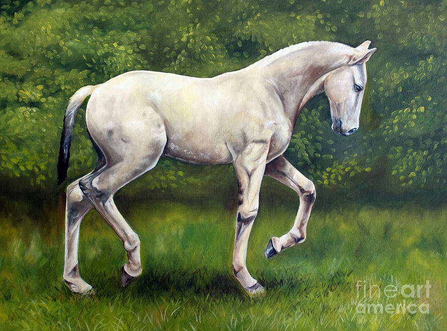 The Lusitano Painting by Debbie Hart