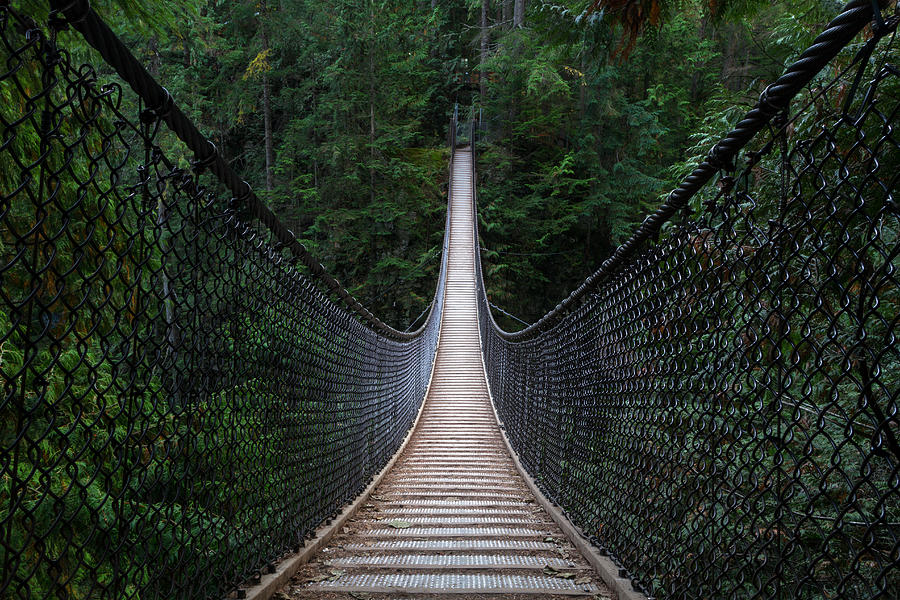 The Lynn Canyon Suspension Bridge Photograph by Michael Russell