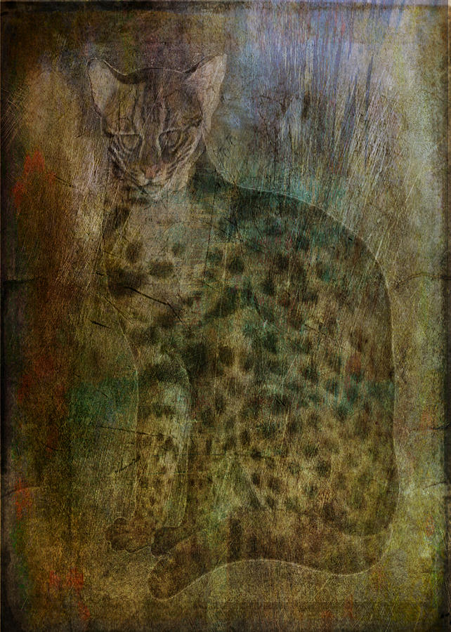 Portrait Digital Art - The Lynx Has Landed  by Sarah Vernon
