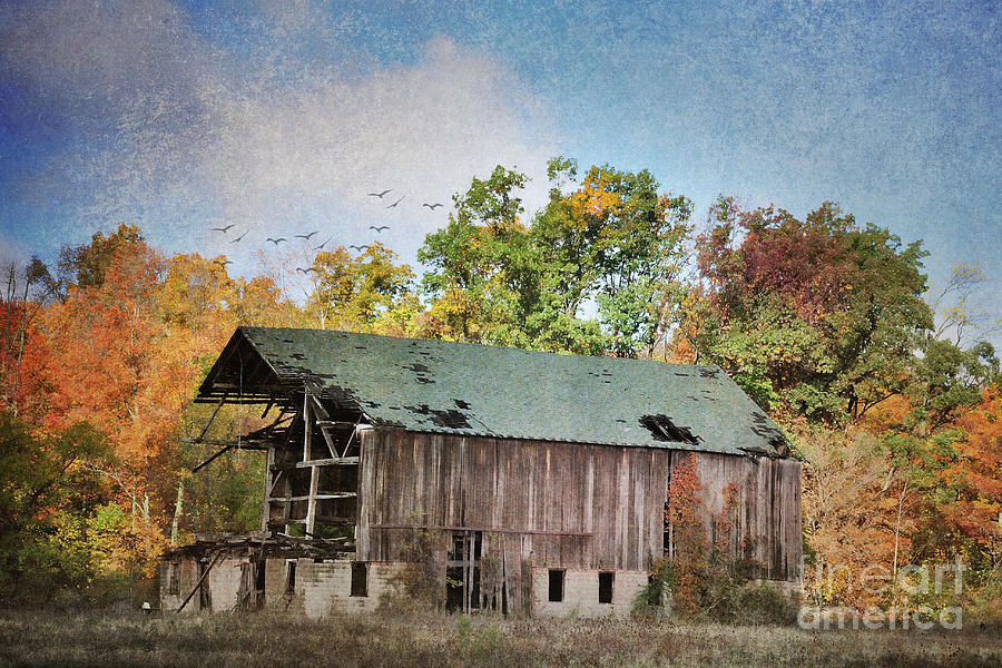The Mack Barn In Autumn Photograph