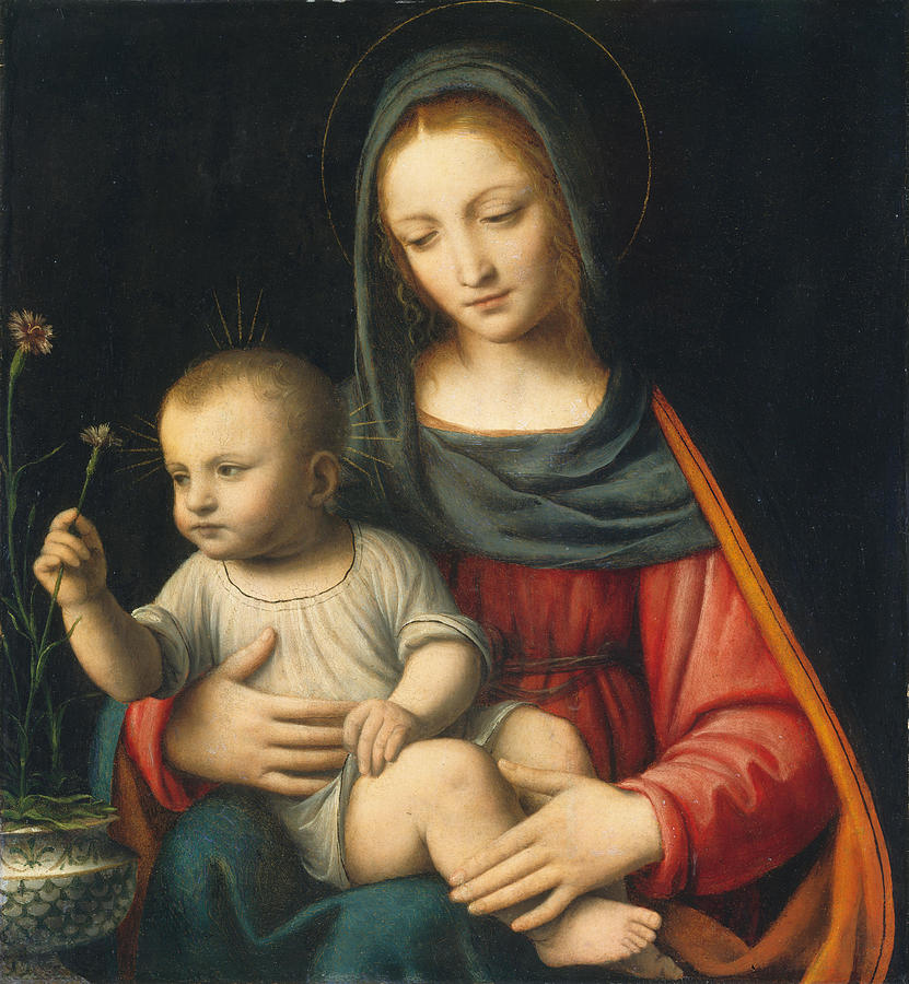 Bernardino Luini Painting - The Madonna of the Carnation by Bernardino Luini