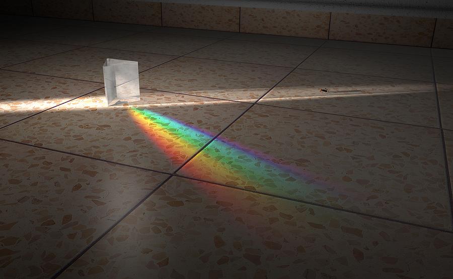 Ant Digital Art - The Magic Of Light by Meir Ezrachi