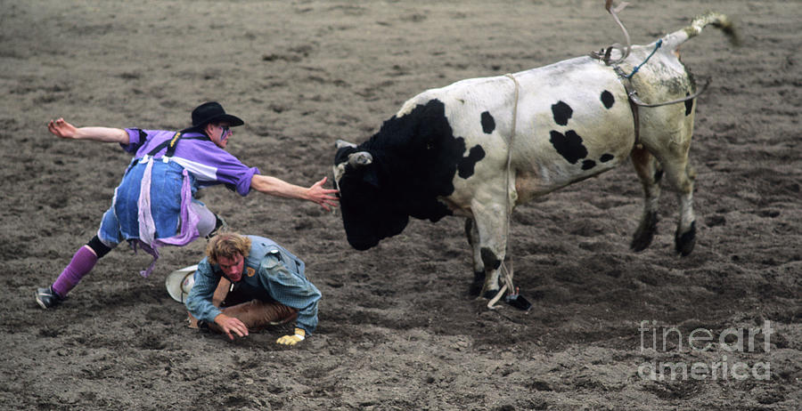 Bull Photograph - Rodeo The Magic Touch by Bob Christopher