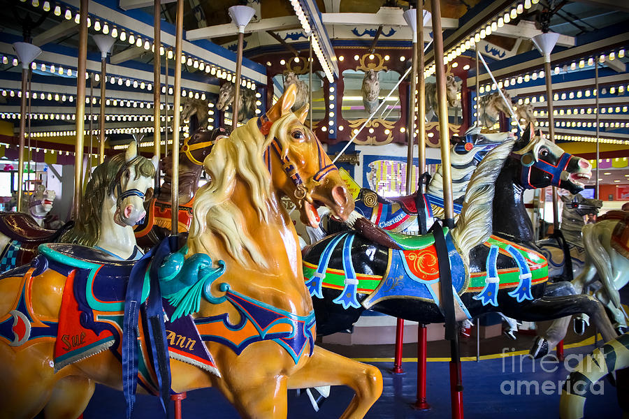 Horse Photograph - The Magical Machine - Carousel by Colleen Kammerer