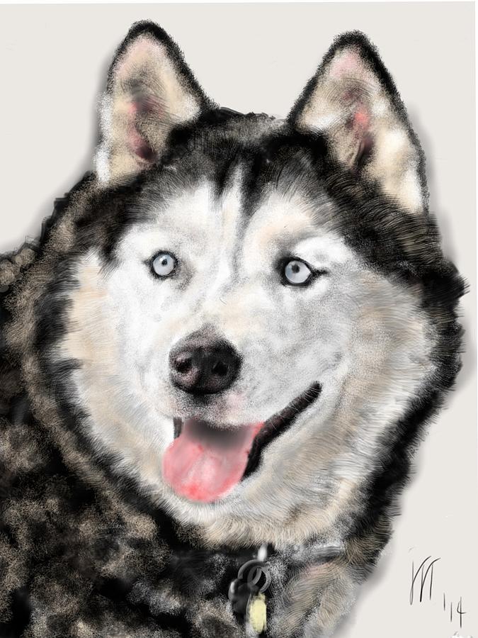 Black And White Painting - The Magnificent Husky by Lois Ivancin Tavaf