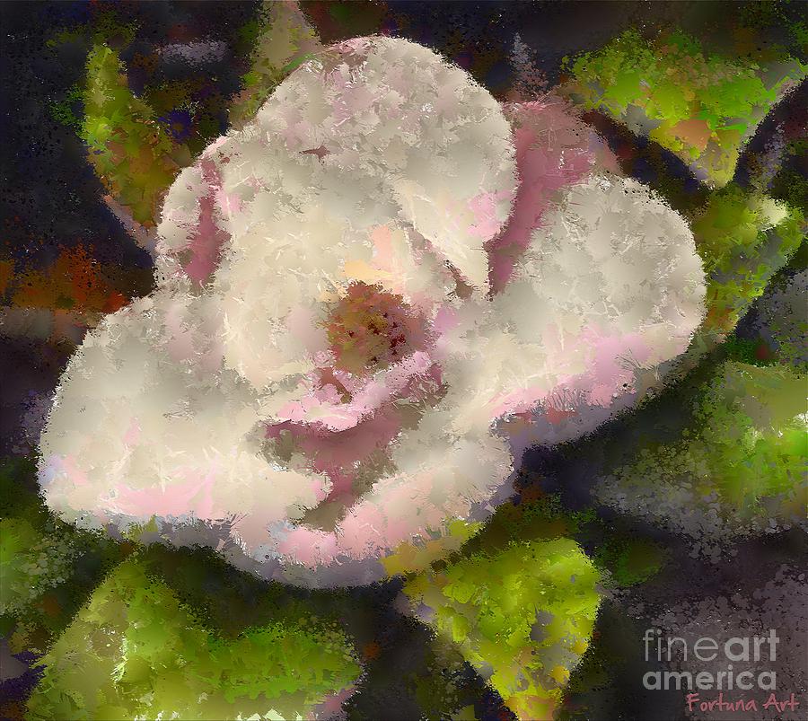 The Magnolia Flower Painting by Dragica  Micki Fortuna