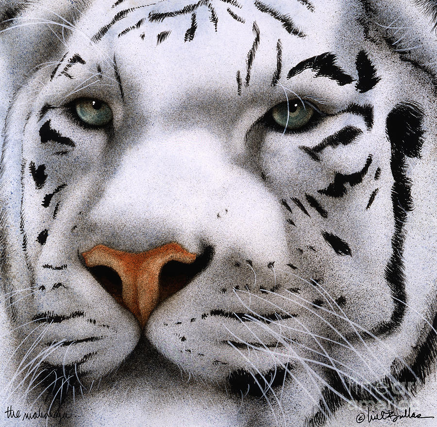 Tiger Painting - The Maharajah... by Will Bullas