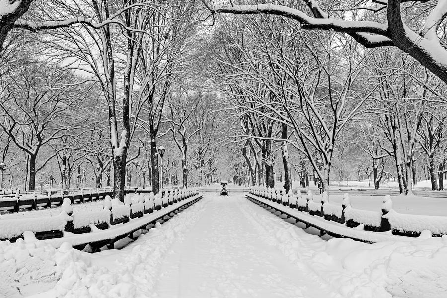 The Mall At Central Park During A Snowstorm Photograph by Susan Candelario