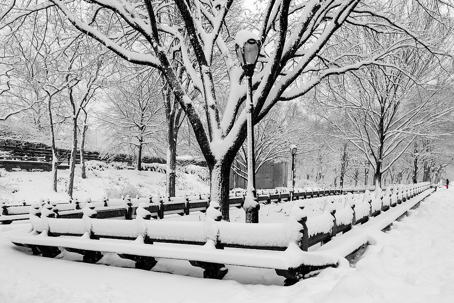 The Mall At NYC Central Park Photograph by Susan Candelario