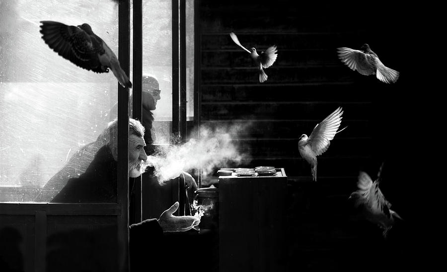 Turkey Photograph - The Man Of Pigeons by Juan Luis Duran