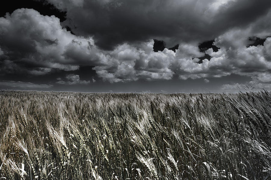 The man's hand Photograph by Edgar Laureano | Fine Art America