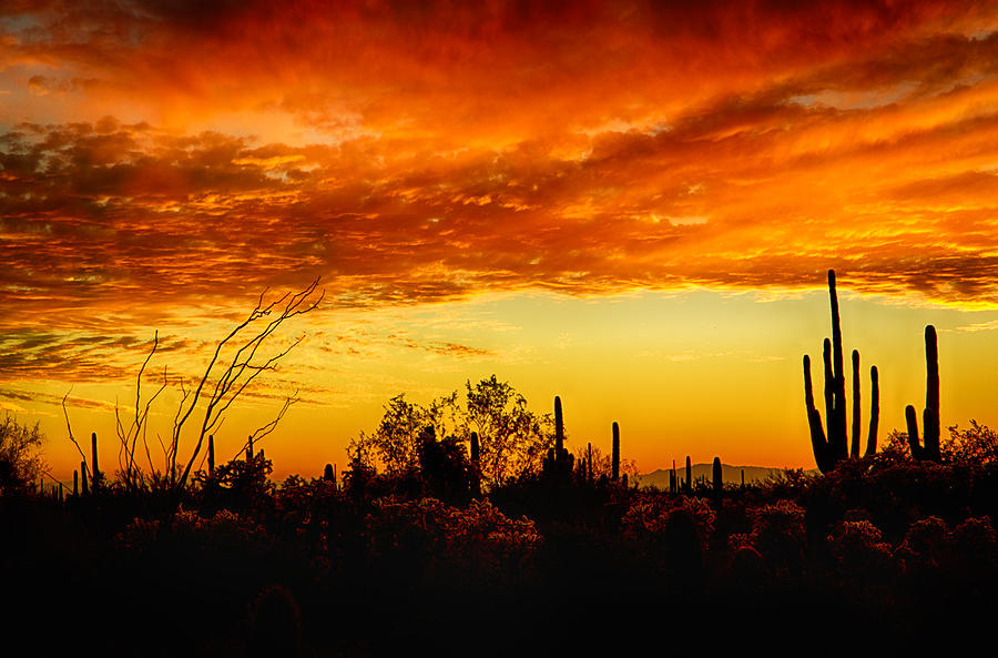 Sunset Photograph - The Many Layers of the Desert  by Saija Lehtonen