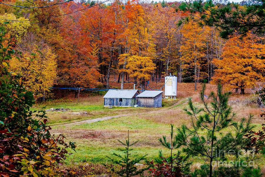 The Maple Syrup Farm Photograph by Nicholas Santasier - Fine Art America