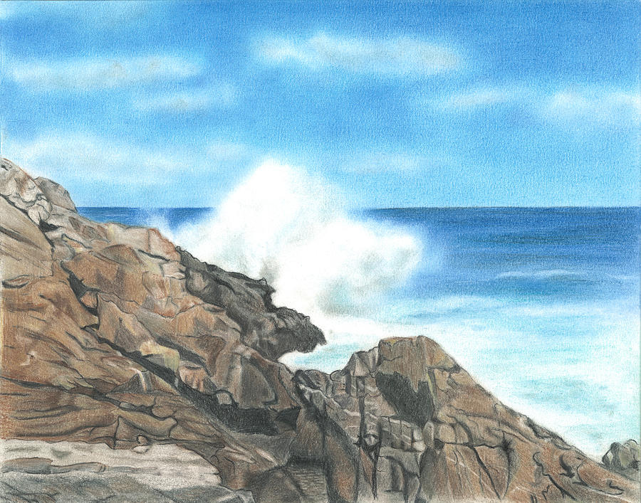 The Marginal Way Drawing by Troy Levesque