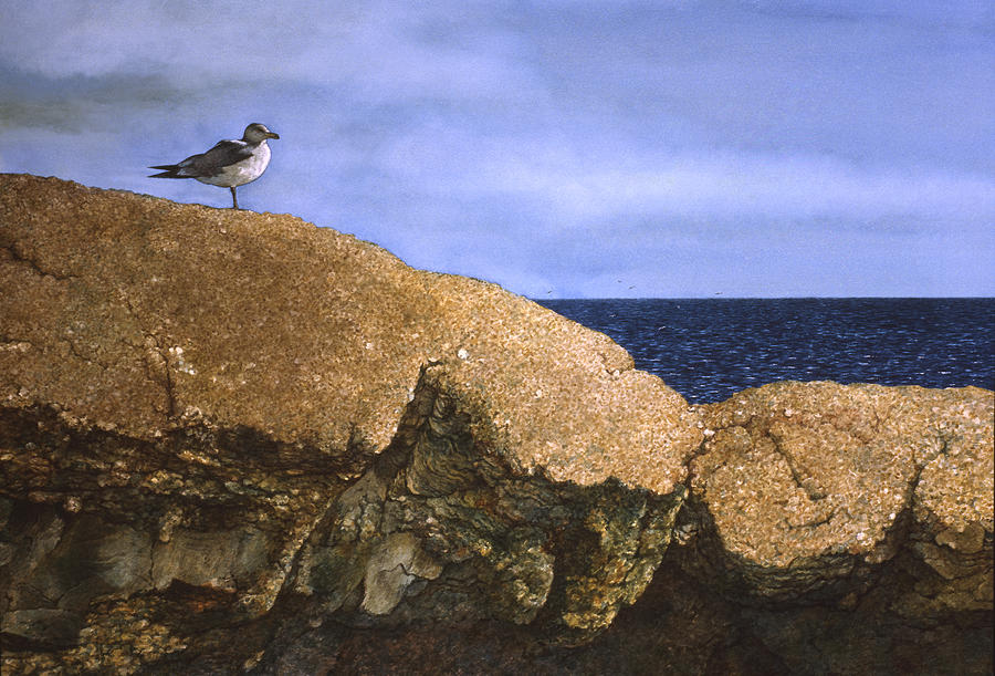 The Mariner Painting by Tom Wooldridge