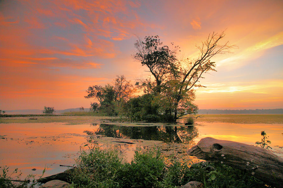 The Marsh At Daybreak IV Photograph by Steven Ainsworth