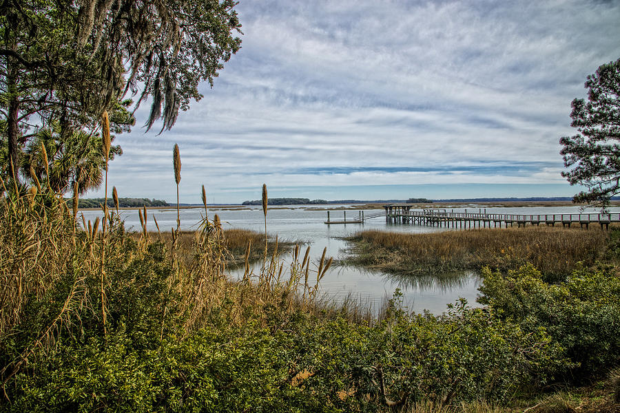 The marsh land of South Carolina Photograph by Bill Cubitt - Pixels