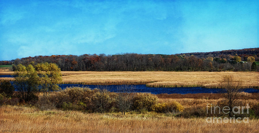 The Marsh Photograph by Mary Machare