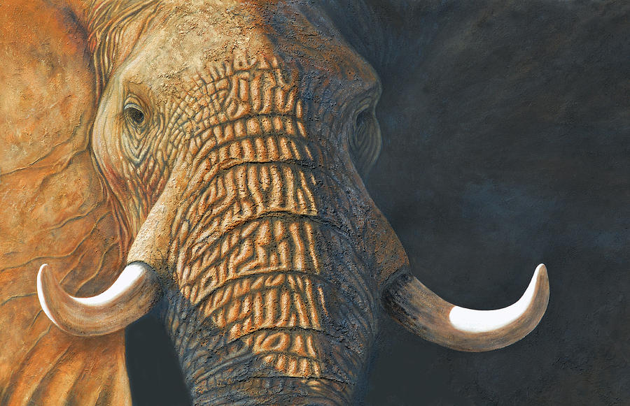 Nature Painting - The Matriarch elephant portrait by David Clode