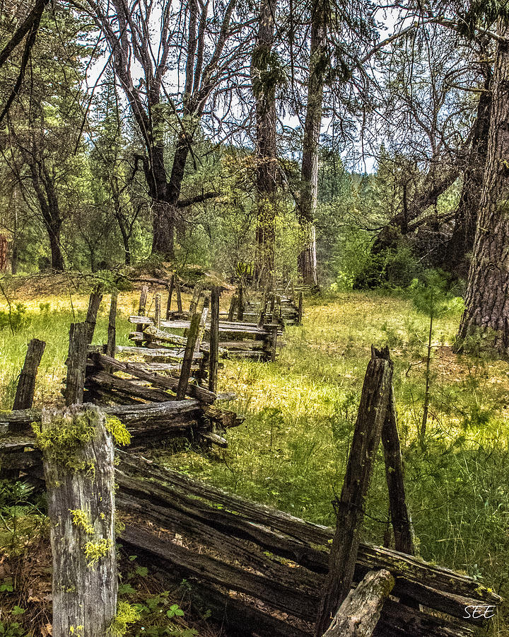 The Meadow Fence Photograph by Susan Eileen Evans