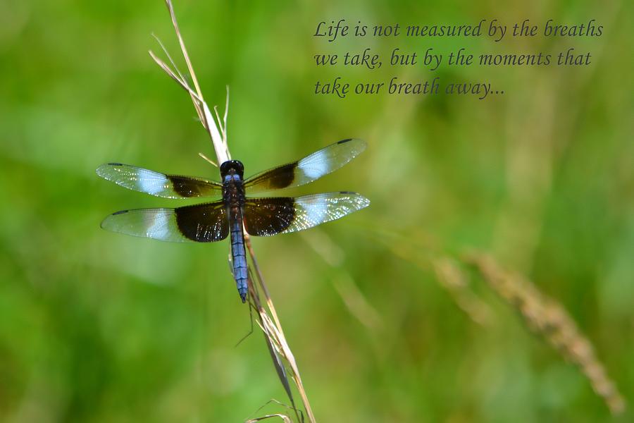 The Measure Of Life Photograph by Deena Stoddard