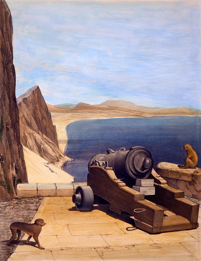 Monkey Drawing - The Mediterranean Battery, Gibraltar by Captain J. M. Carter
