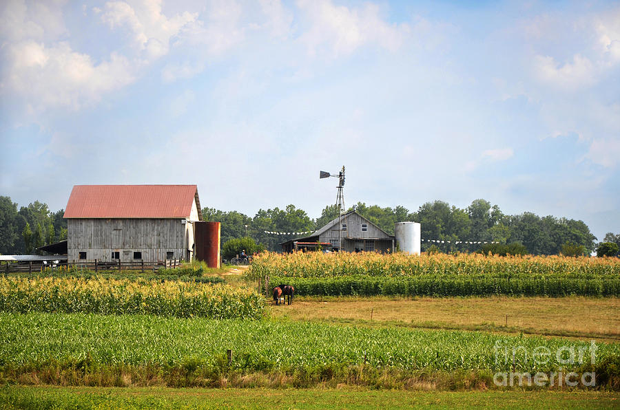 The Mennonite Farm Photograph by Paul Mashburn