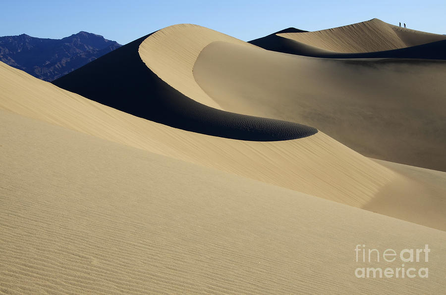The Mesquite Dunes Of California Photograph by Bob Christopher