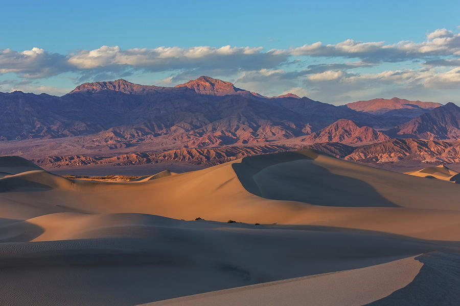 Death Valley National Park Photograph - The Mesquite Sand Dunes In Death Valley by Chuck Haney