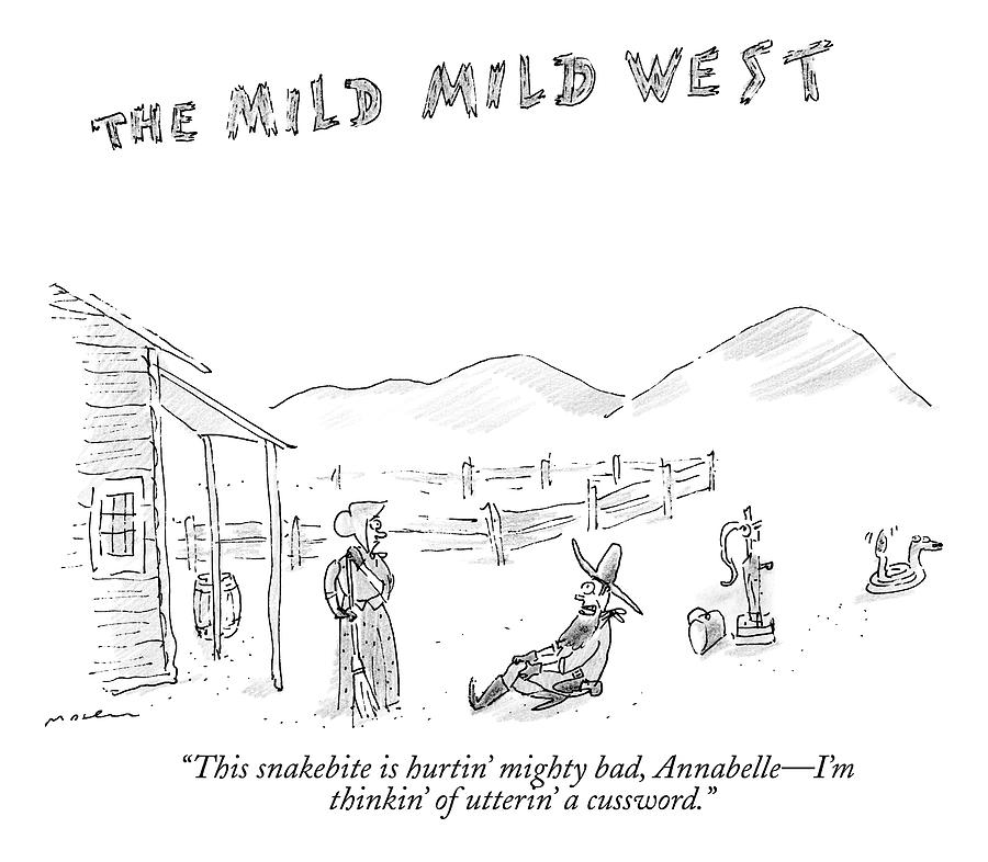 The Mild Mild West. A Cowboy In A Western Setting Drawing by Michael Maslin