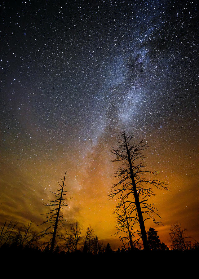 The Milky Way Photograph by Adam Schallau
