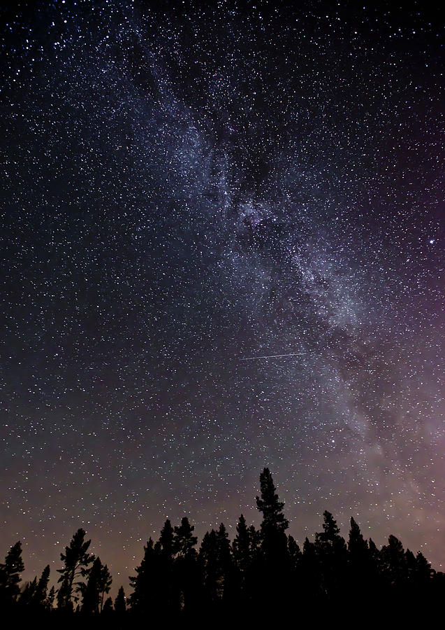 The Milky Way Seen Above A Forest Photograph by Dave Moorhouse