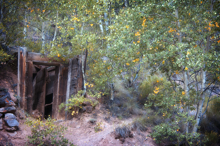 The Mine Shaft Photograph by Lana Trussell