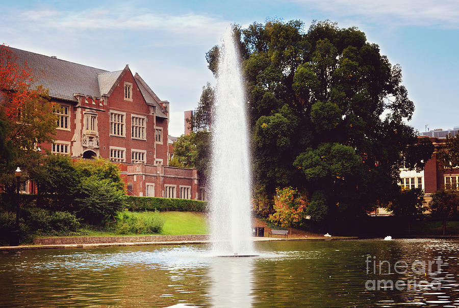 Ohio State University Photograph - The Mirror Lake by Rachel Barrett