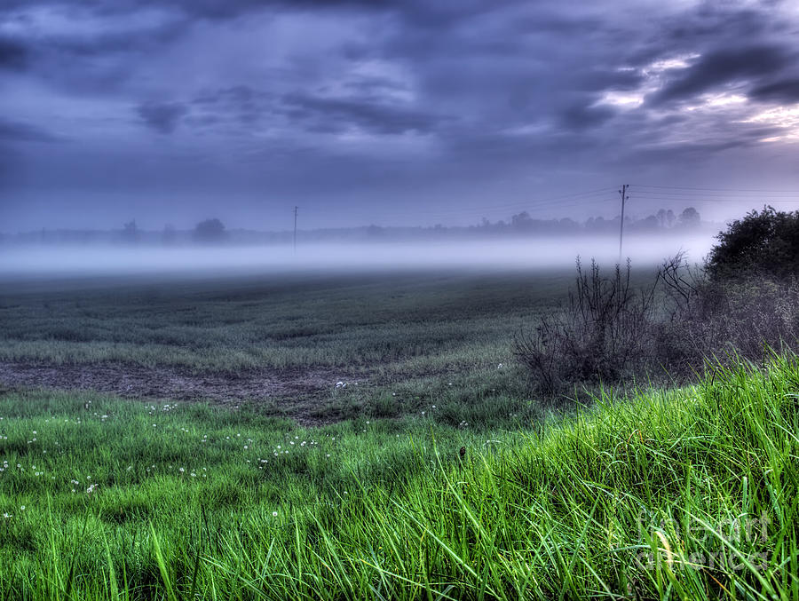 Nature Photograph - The mist by Sinisa Botas