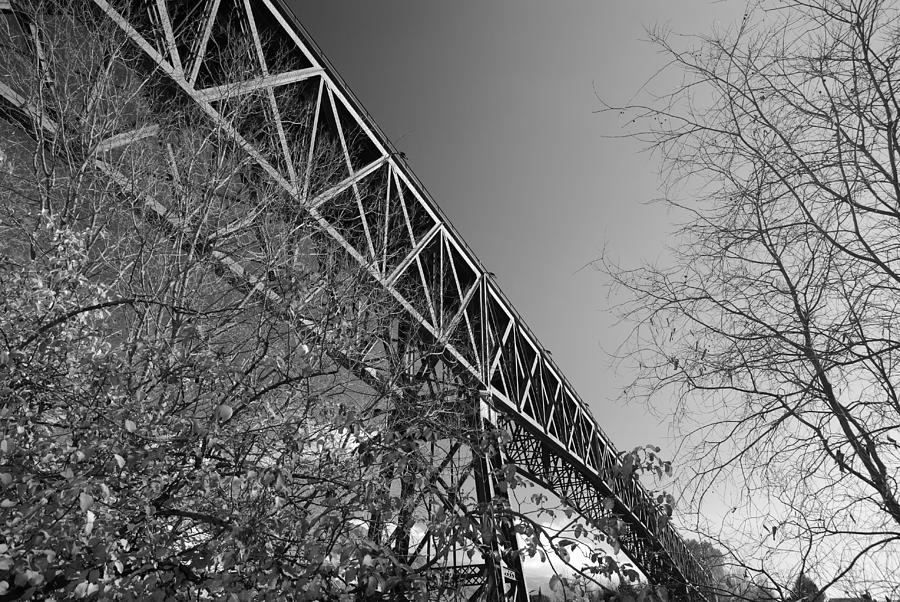 Black And White Photograph - The mistery train bridge by Guido Montanes Castillo